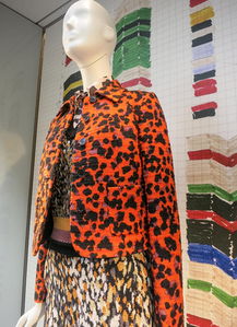 时尚女装品牌推荐 精选服饰零售指南